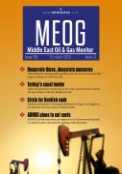 MEOG Week 13