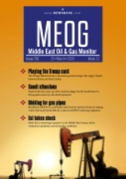 MEOG Week 12