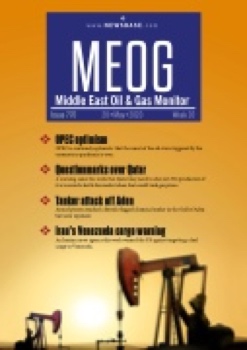 MEOG Week 20