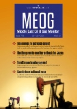 MEOG Week 28