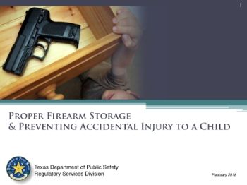 2018 LTC Firearms Storage Book
