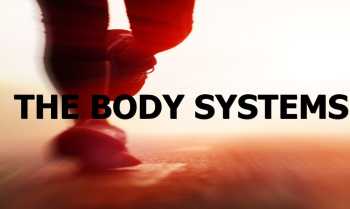 THE BODY SYSTEMS QUICK REVIEW