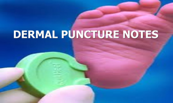 DERMAL PUNCTURE NOTES