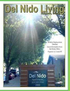 Del Nido #3