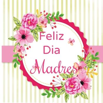 tarjetas madres2_Neat