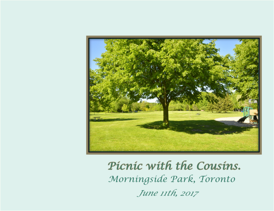 Picnic with the Cousins- Toronto