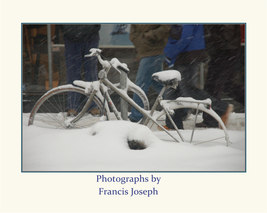 Photo Portfolio 1 ( Francis Joseph)