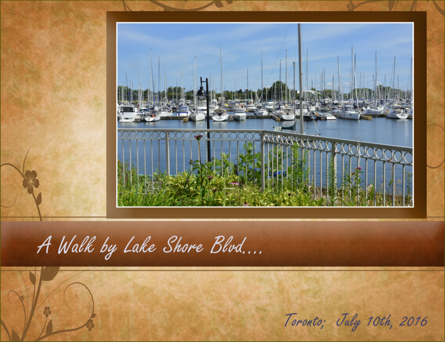 A Walk by Lake Shore Blvd.