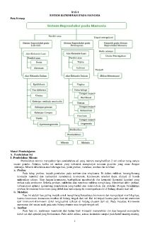Sistem reproduksi pada manusia