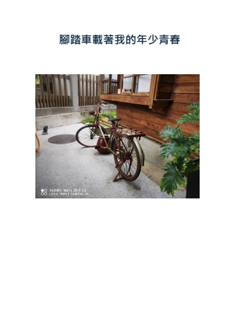 腳踏車載著我的年少青春