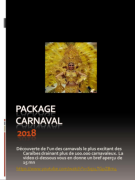 Packagecarnavalv4