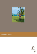 PackageGolfv1