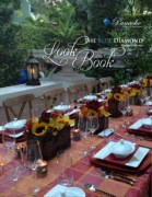 Look Book Panache Party Rentals