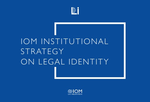 IOM LI institutional Strategy