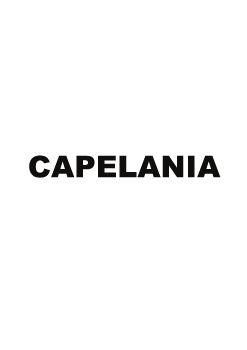 Microsoft Word - Capelania.doc