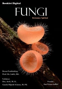 BOOKLET DIGITAL FUNGI