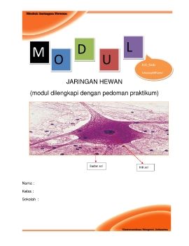 SELAMAT DATANG DI E-MODUL