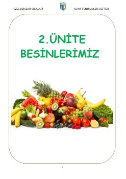 2020-2021 4. Sınıf Fen Bilimleri - Besinler ve Özellikleri