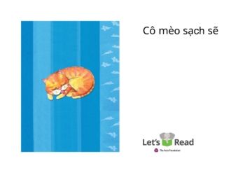 Cô mèo sạch sẽ