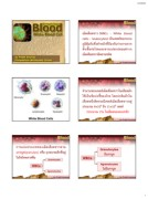 งานนำเสนอ PowerPoint