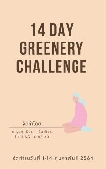 14 Day Greenery Challenge