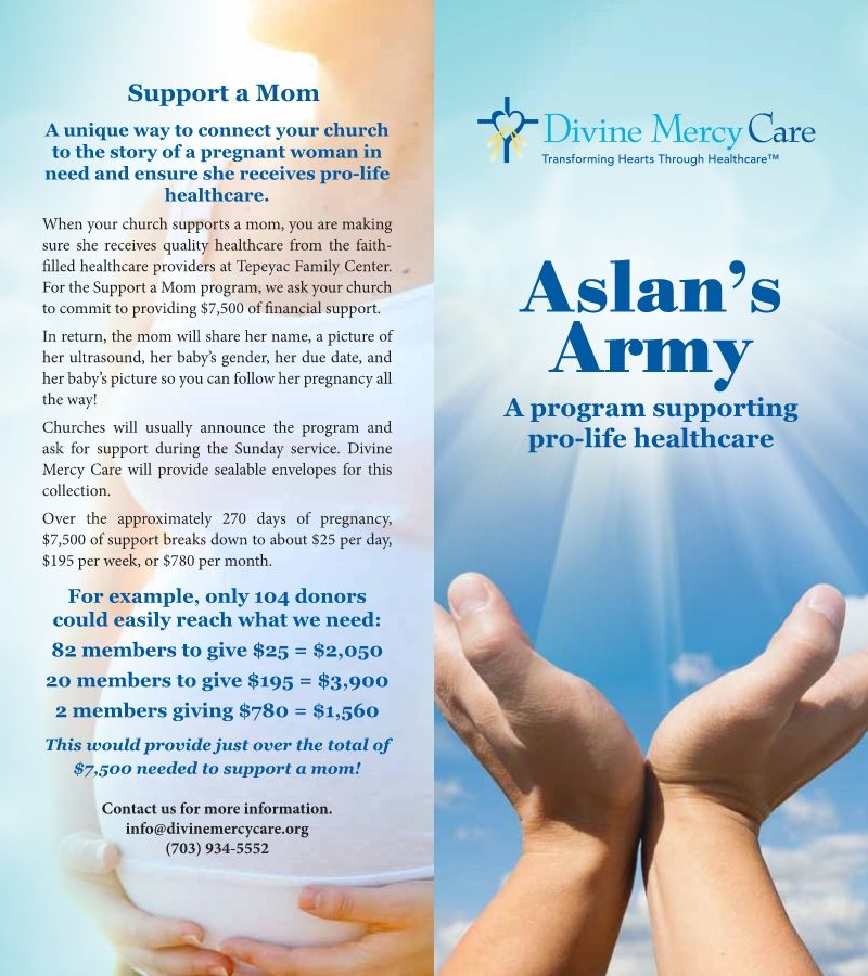 Alsan's Army Brochure