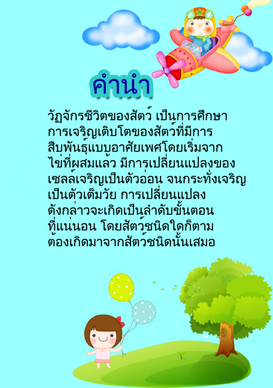 ebook