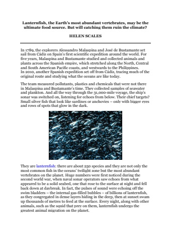 Lanternfish