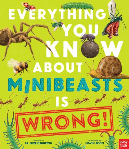 SAMPLE Everything You Know About Minibeasts