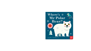 Felt Flaps: Where's Mr Polar Bear?