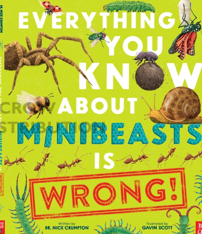 Everything You Know About Minibeasts is Wrong!