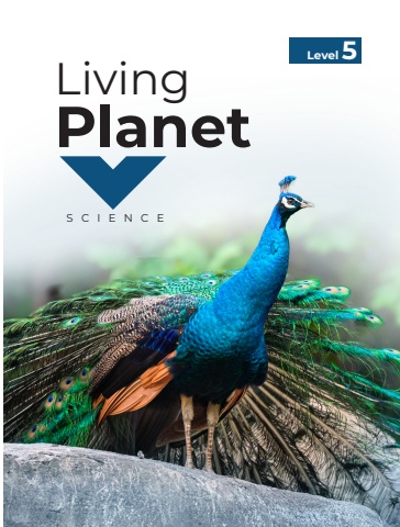Living Planet Level 5