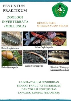 MOLLUSCA