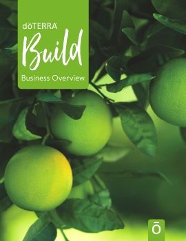 Build Guide