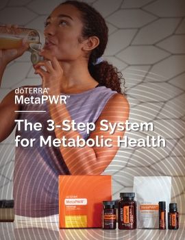 MetaPWR Metabolic System