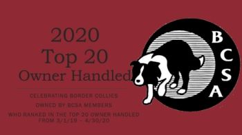 2020 BCSA Top 20 Owner Handled Program