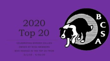 2020 BCSA Top 20 Program