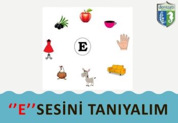 E SESİ