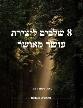 שלבים ליצירת עושר מאושר מאת מאור חנינה - סופי