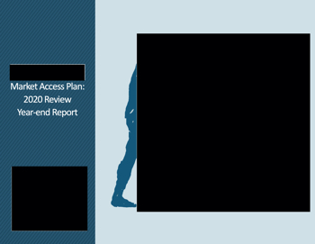 2020 EOY Report_Redacted