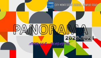 PANORAMA-ANNUAL e MAGAZINE 2020-21