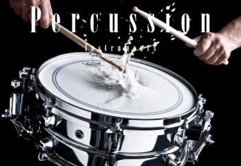 Percussion Instruments