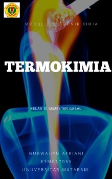 Modul Elektronik Termokimia Kelas XI  