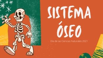 SISTEMA ÓSEO