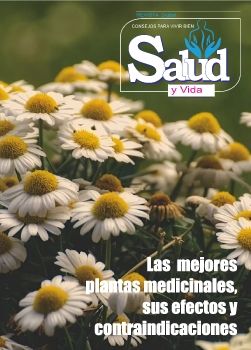 REVISTA  VIDA Y SALUD