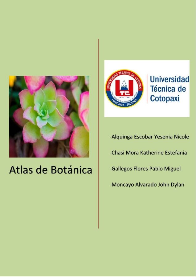 Atlas de Botánica