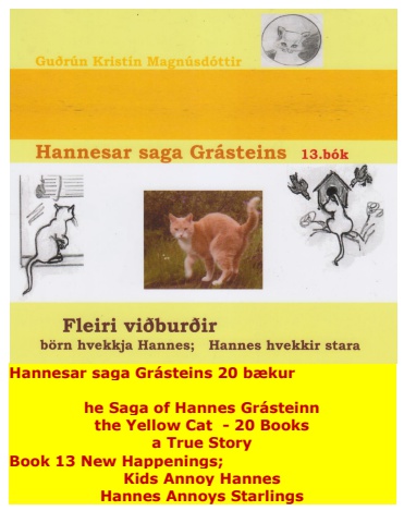 Hannes the Cat - Book 13 - Icelandic and English