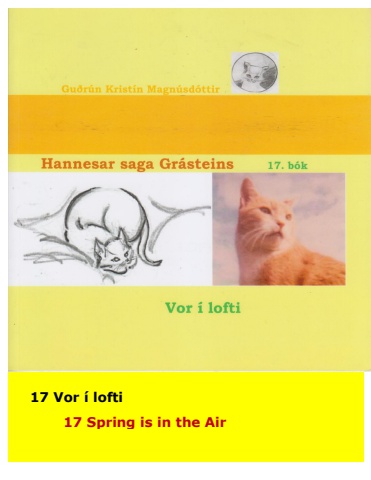 Hannes the Cat - Book 17 - Icelandic and English