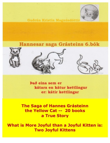 Hannes the Cat - Book 6 - Icelandic and English