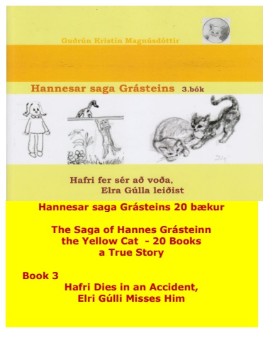Hannes the Cat - Book 3 - Icelandic and English